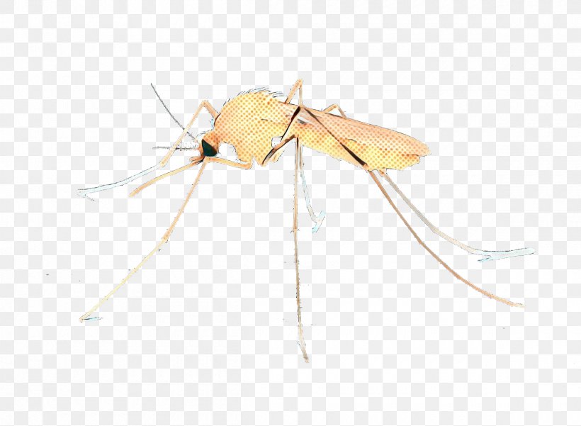 Mosquito Insect, PNG, 2400x1761px, Mosquito, Insect, Membrane, Moth, Pest Download Free