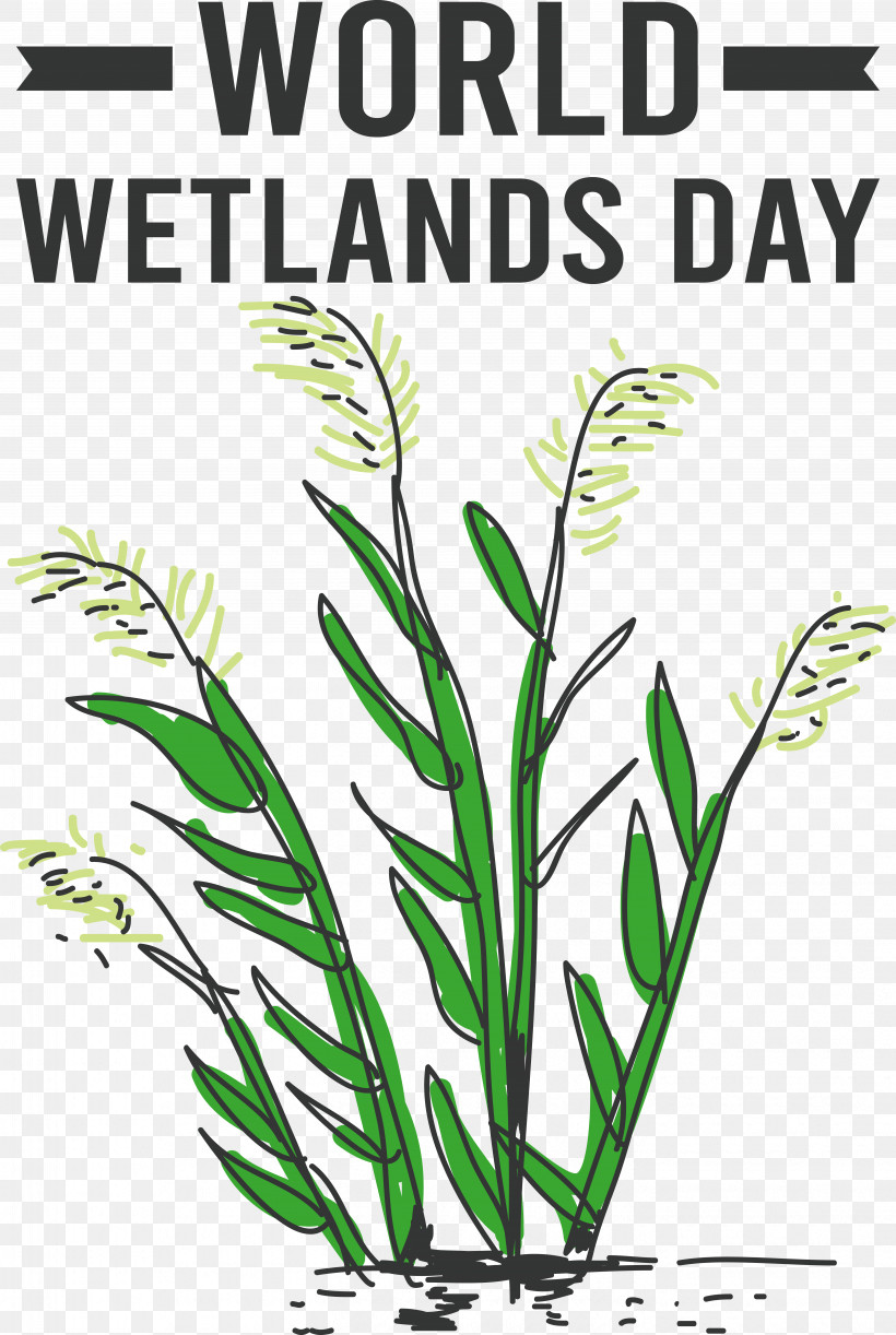 World Wetlands Day, PNG, 5688x8478px, World Wetlands Day Download Free