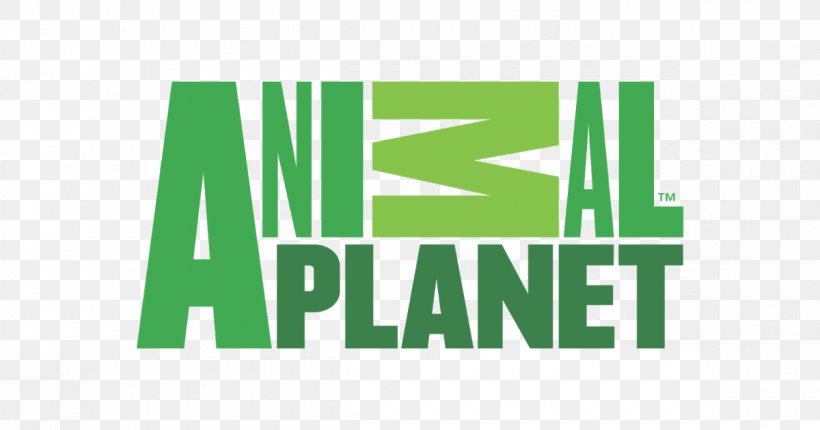 Animal Planet Logo Television Channel Television Show, PNG, 1200x630px, Animal Planet, Animal, Animal Planet Hd, Area, Brand Download Free