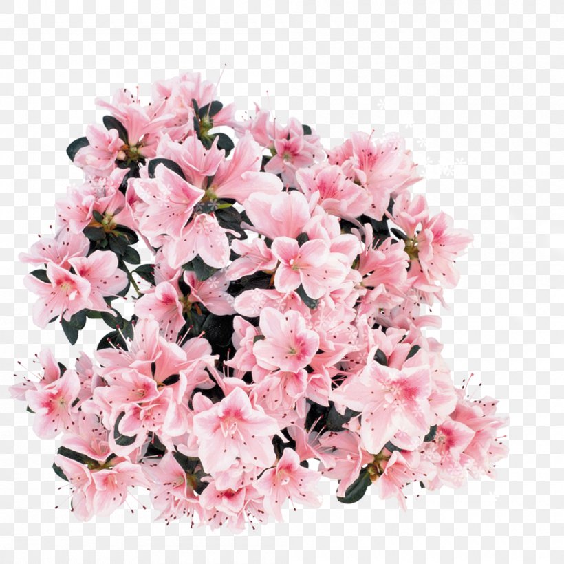 Art, PNG, 1000x1000px, Art, Artificial Flower, Azalea, Blossom, Branch Download Free