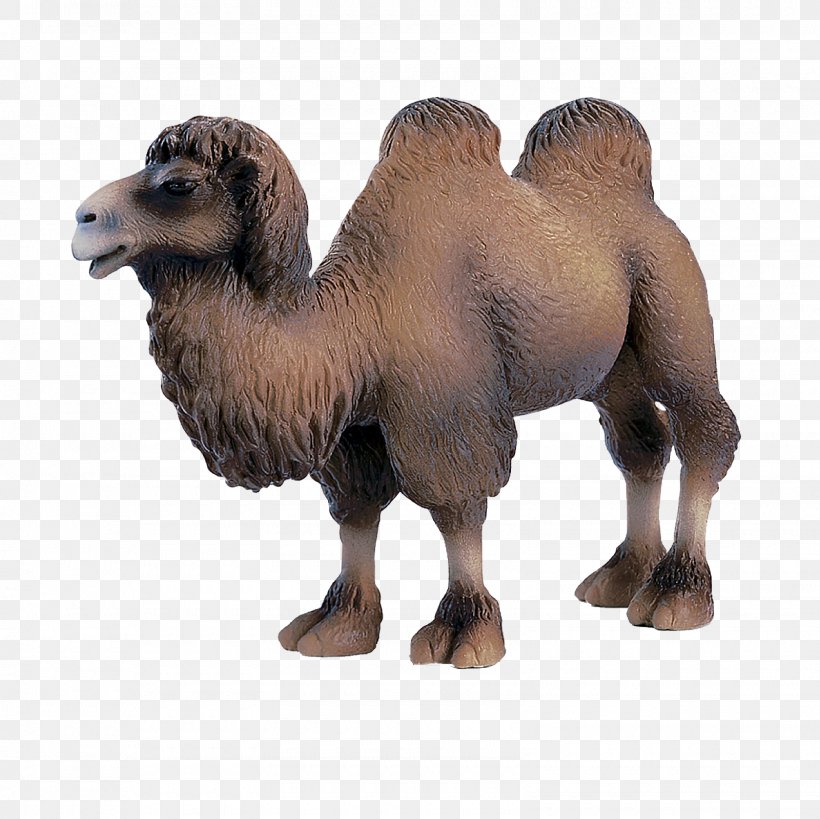 Bactrian Camel Dromedary Amazon.com Horse Foal, PNG, 1600x1600px, Bactrian Camel, Action Toy Figures, Amazoncom, Animal Figure, Arabian Camel Download Free
