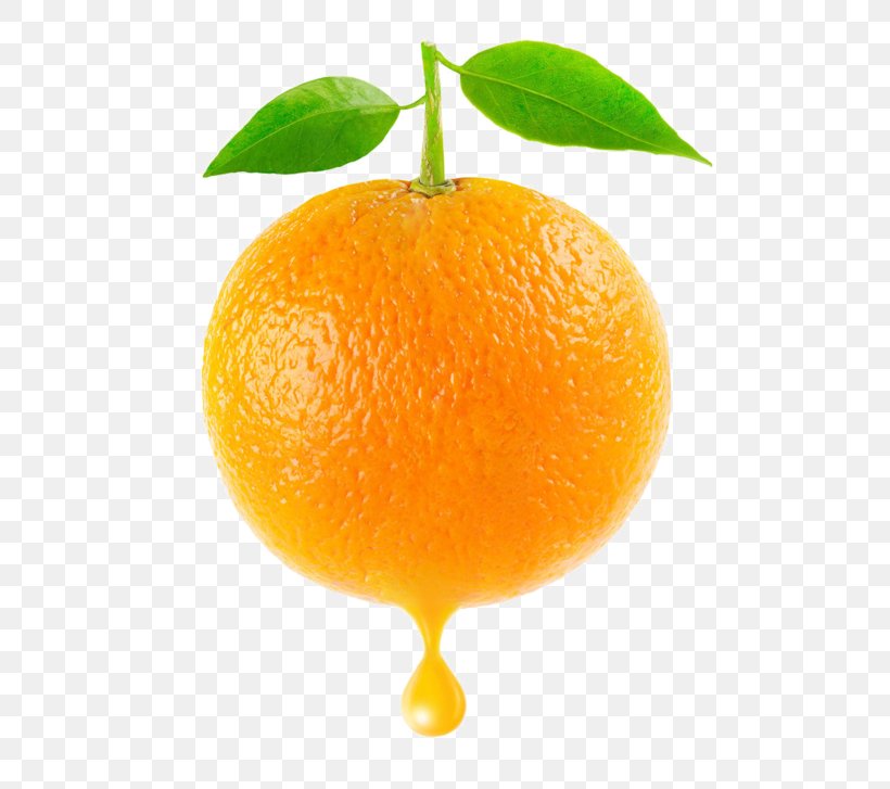Clementine Mandarin Orange Tangerine Blood Orange, PNG, 600x727px, Clementine, Bitter Orange, Blood Orange, Chenpi, Citric Acid Download Free