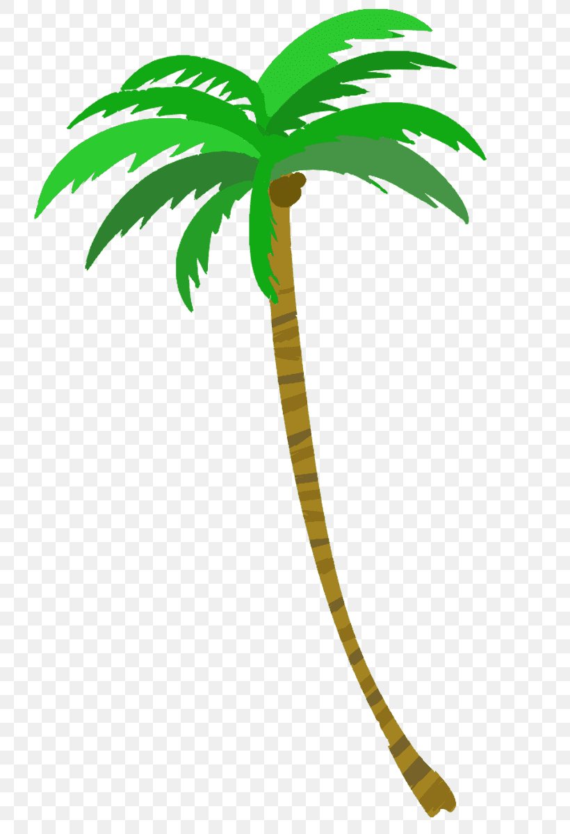 Coconut Palm Trees Clip Art, PNG, 800x1200px, Coconut, Arecales ...