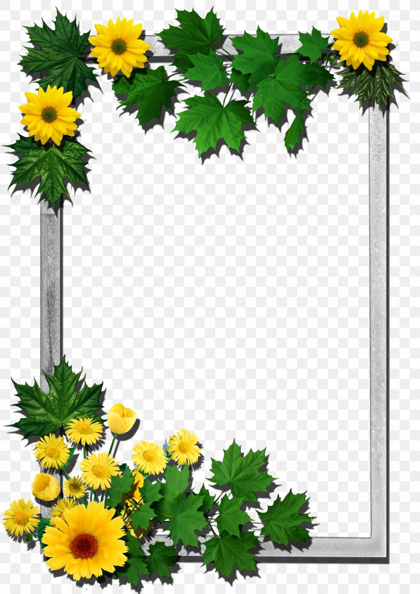 Picture Frames Flower Clip Art, PNG, 2480x3510px, Picture Frames, Annual Plant, Chamaemelum Nobile, Chrysanths, Cut Flowers Download Free