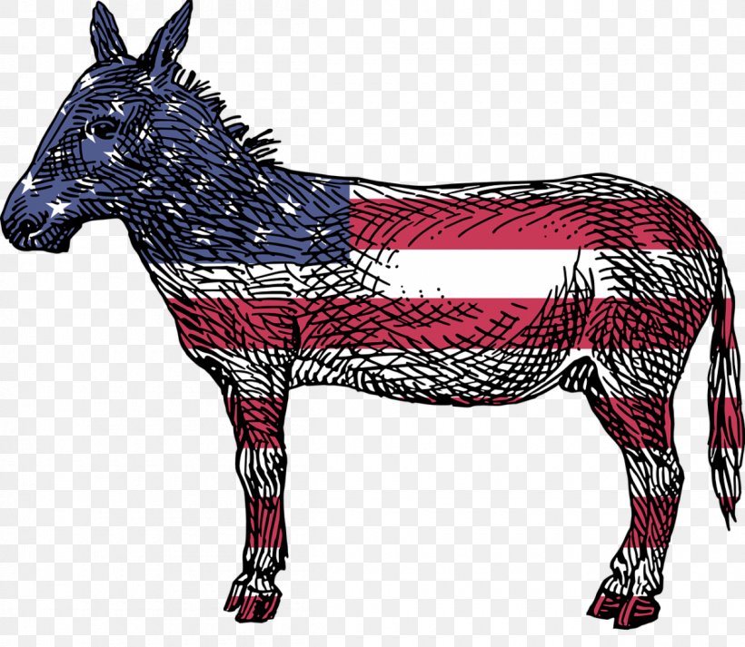 Reasons To Vote For Democrats: A Comprehensive Guide Reasons To Vote For Republicans: A Captivating Interpretation United States Democratic Party The Daily Wire, PNG, 1200x1044px, United States, Animal Figure, Author, Book, Commentator Download Free