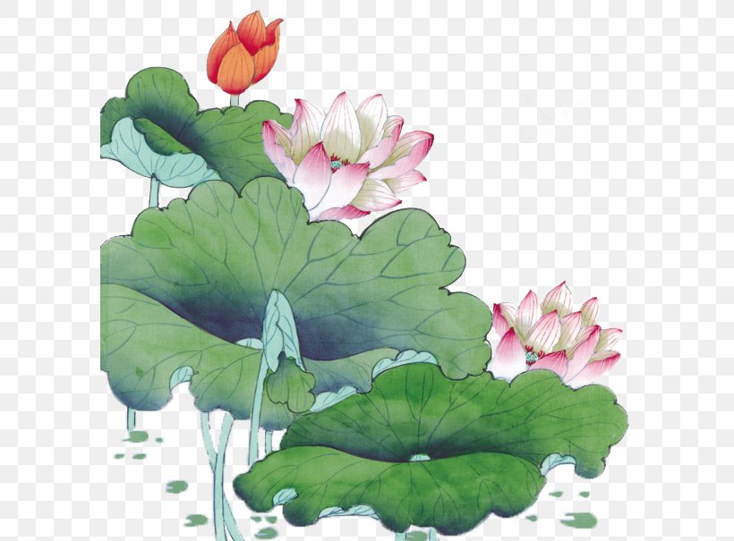Static Variable Clip Art, PNG, 595x605px, Static Variable, Annual Plant, Aquatic Plant, Chinese Painting, Class Download Free