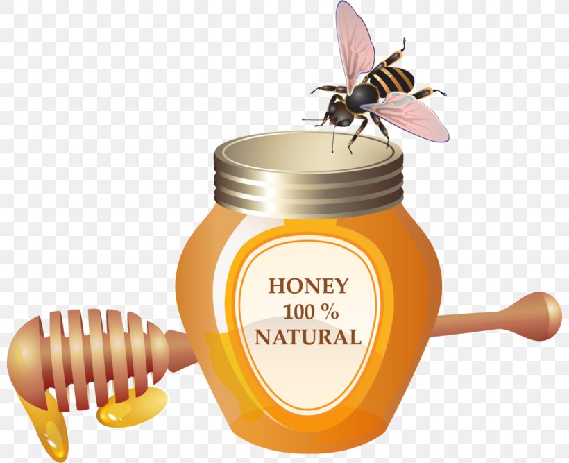 Bee Vector Graphics Image Clip Art Honey, PNG, 800x667px, Bee, Beehive, Bumblebee, Cartoon, Drawing Download Free