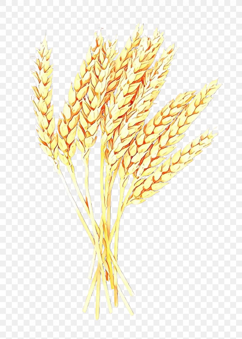 Clip Art Cereal Ear Spelt, PNG, 1199x1675px, Cereal, Barley, Cereal Germ, Ear, Einkorn Wheat Download Free
