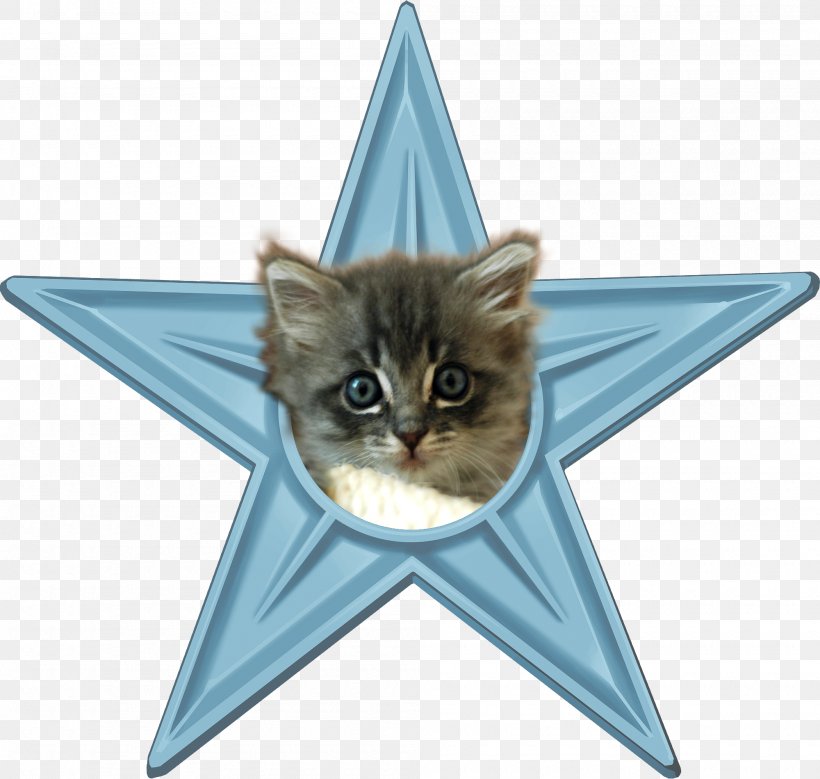 Desktop Wallpaper Clip Art, PNG, 2000x1900px, Wiki, Carnivoran, Cat, Cat Like Mammal, Domestic Short Haired Cat Download Free
