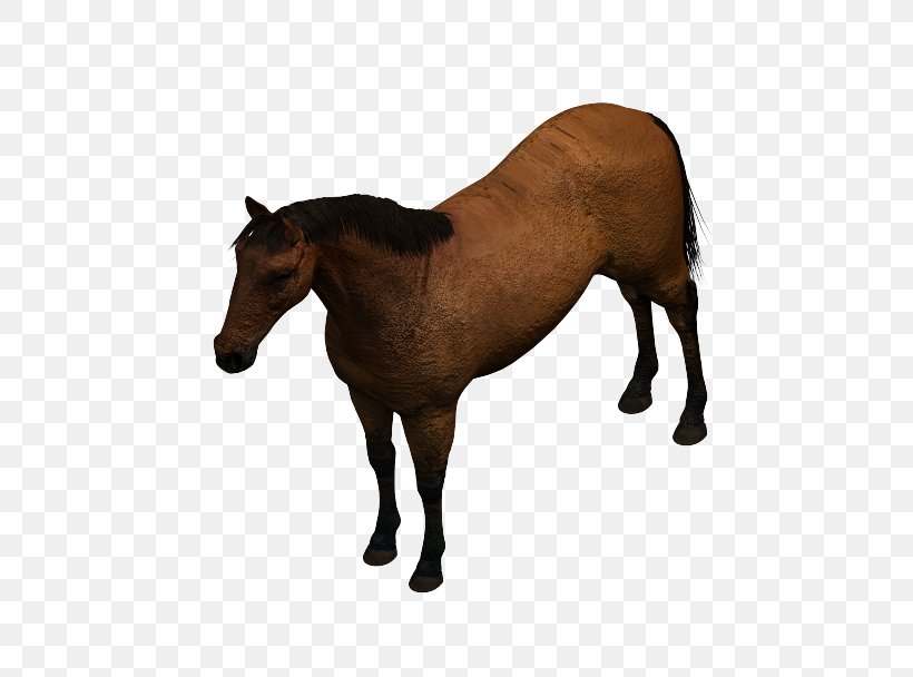 Mustang Mare Foal Pony Stallion, PNG, 604x608px, 3d Computer Graphics, Mustang, Andalusian Horse, Animal Figure, Autocad Download Free