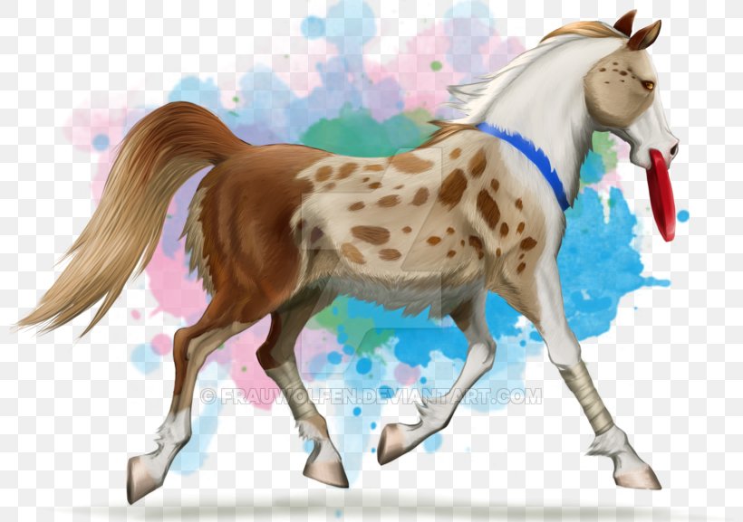 Pony Mustang Foal Stallion Mare, PNG, 800x577px, Pony, Animal Figure, Colt, Colt S Manufacturing Company, Florida Kraze Krush Soccer Club Download Free