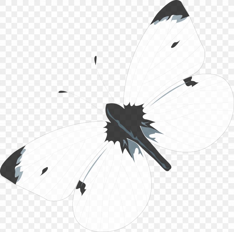 Butterfly Product Design Black, PNG, 5007x4957px, Butterfly, Arthropod, Black, Black And White, Butterflies And Moths Download Free