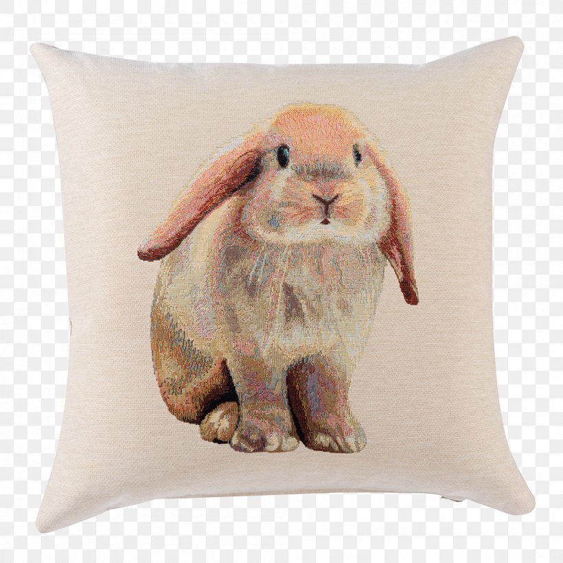 Cushion Pillow Domestic Rabbit Carpet Kilim, PNG, 1000x1000px, Cushion, Bed, Bedding, Carpet, Couch Download Free