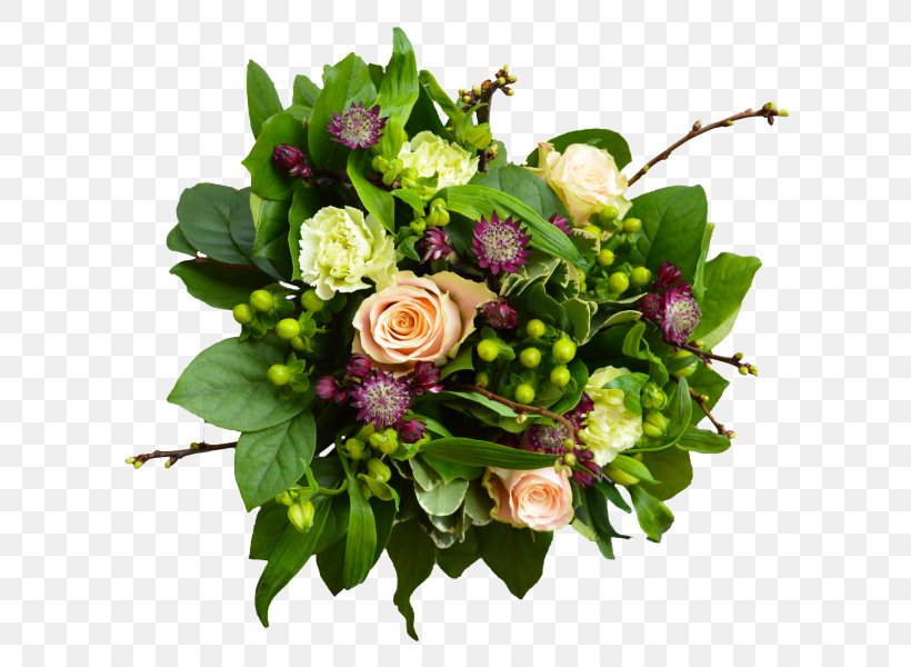 Floral Design Cut Flowers Flower Bouquet Great Masterwort, PNG, 600x600px, Floral Design, Cut Flowers, Floristry, Flower, Flower Arranging Download Free