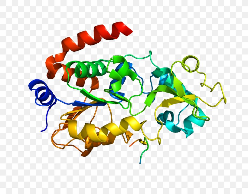 Protein Molecule Sirtuin 3 Molecular Biology Chemistry Png