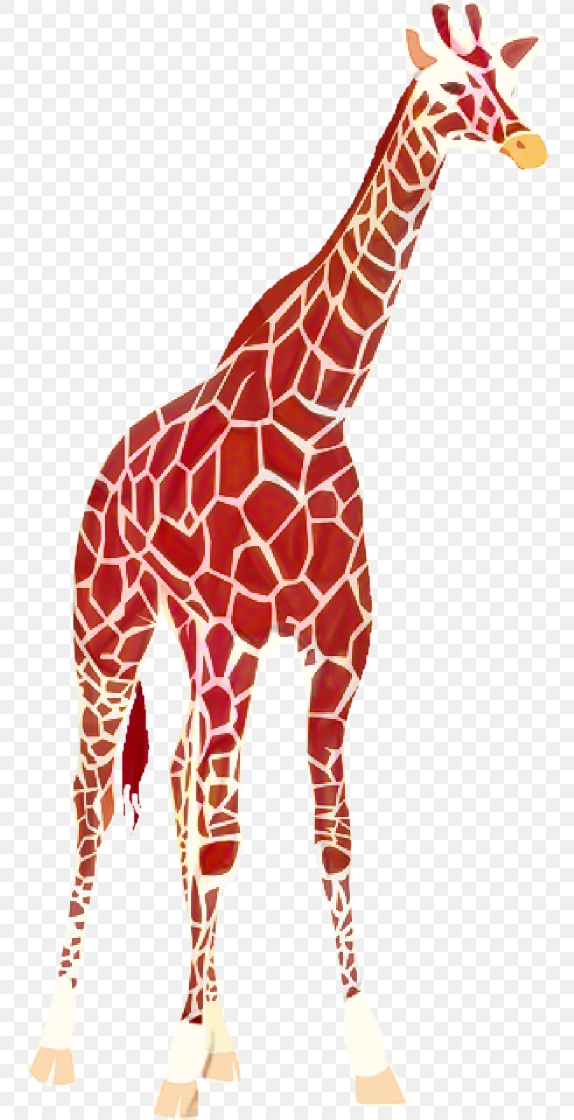 Giraffe Cartoon, PNG, 800x1600px, Okapi, Animal Figure, Fawn, Giraffe, Giraffidae Download Free