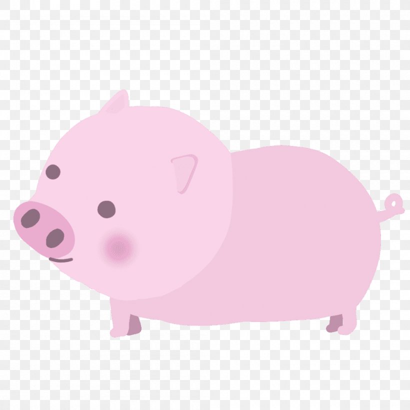 Pig Pink M Snout, PNG, 1000x1000px, Pig, Livestock, Mammal, Pig Like Mammal, Pink Download Free