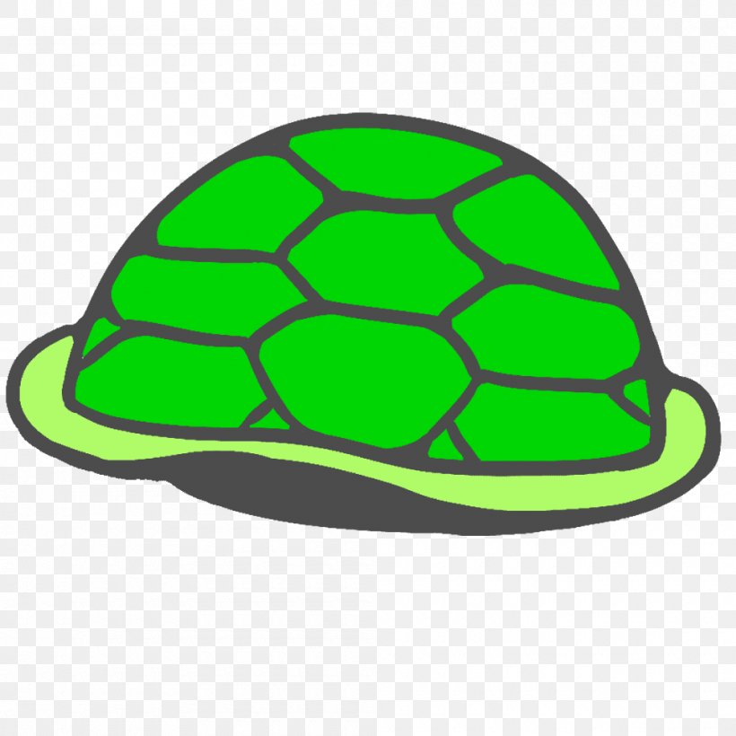 Sea Turtle Tortoise Carapace, PNG, 1000x1000px, Turtle, Brott, Cap, Carapace, Green Download Free