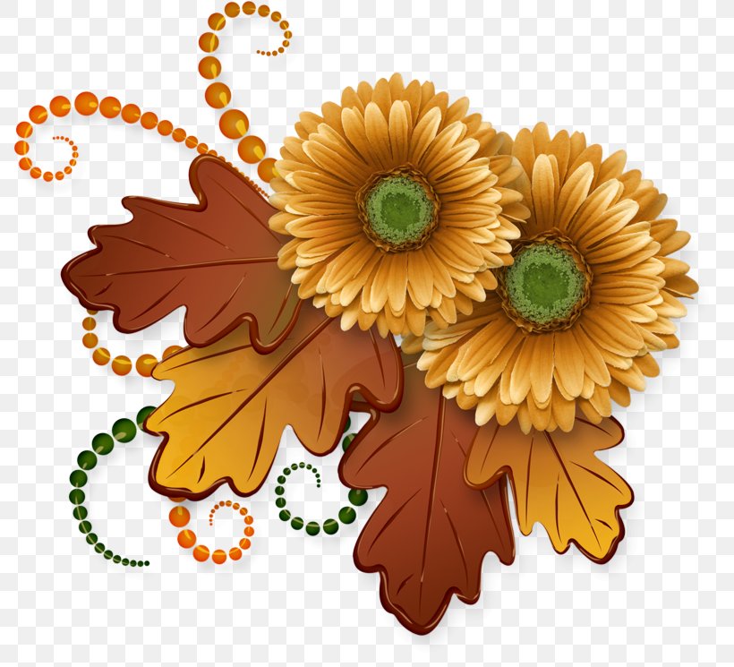 Sunflower, PNG, 800x745px, Gerbera, Barberton Daisy, Cut Flowers, Flower, Leaf Download Free