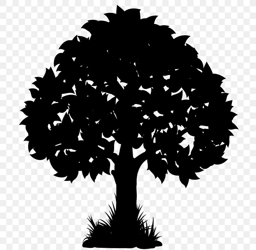 Vector Graphics Clip Art Silhouette Oak Illustration, PNG, 728x800px, Silhouette, Drawing, Oak, Palm Tree, Plant Download Free