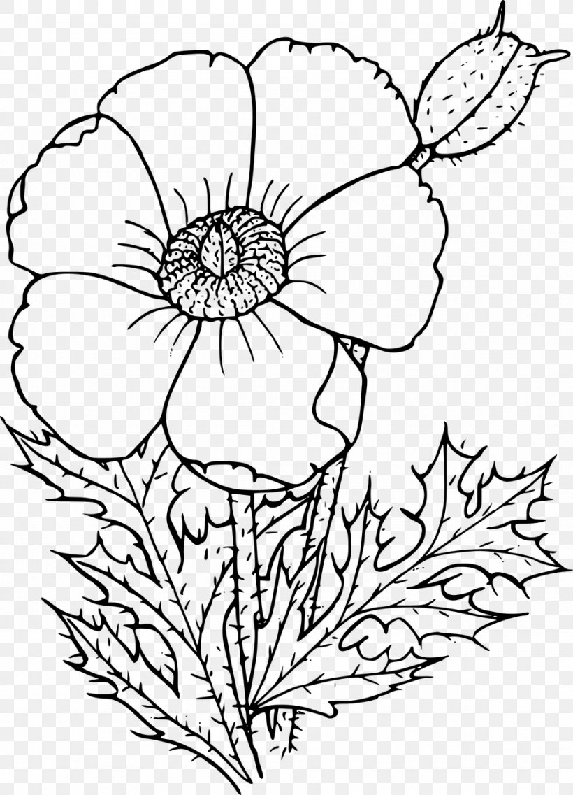 California Poppy Drawing Wildflower, PNG, 923x1280px, Poppy, Area, Argemone Albiflora, Artwork, Black And White Download Free