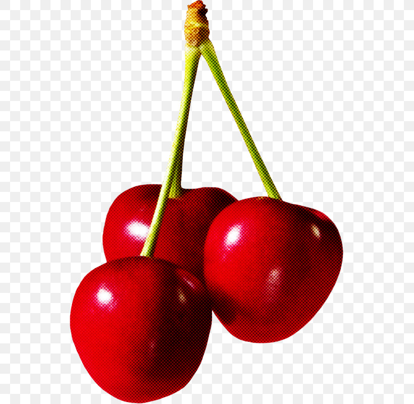 Cherry Fruit Plant Tree Currant, PNG, 543x800px, Cherry, Currant, Drupe, Food, Fruit Download Free
