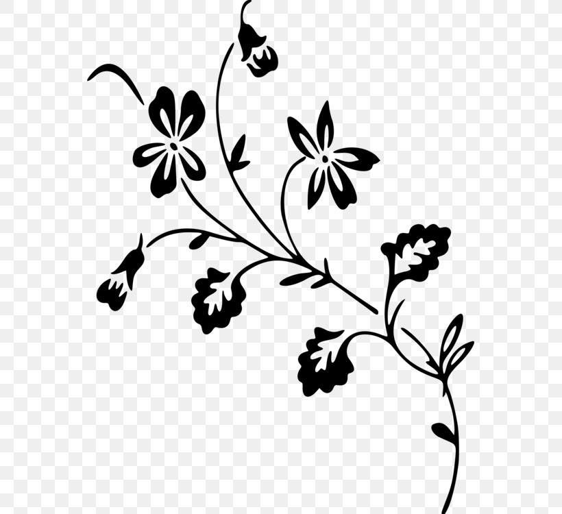 Clip Art Leaf Twig Plants, PNG, 565x750px, Leaf, Blackandwhite, Botany, Branch, Floral Design Download Free