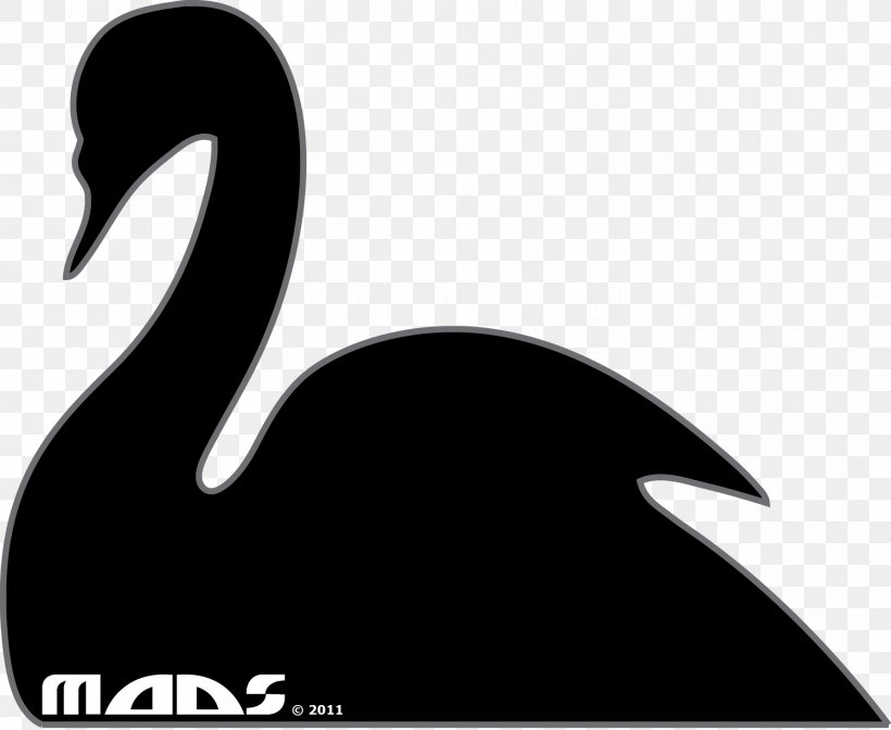 Goose Duck Black Swan Water Bird, PNG, 1779x1459px, Goose, Anatidae, Beak, Bird, Black And White Download Free
