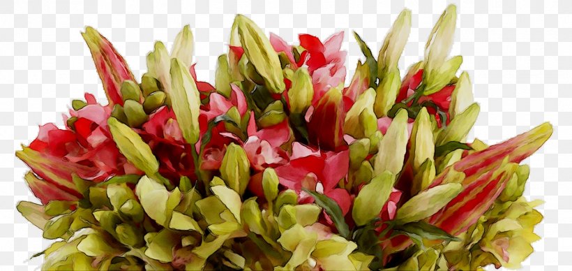 Floral Design Cut Flowers Flower Bouquet Petal, PNG, 1497x709px, Floral Design, Anthurium, Bouquet, Cut Flowers, Flower Download Free