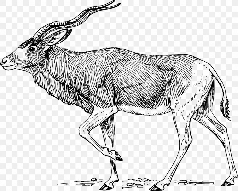 Download Clip Art, PNG, 1280x1027px, Addax, Animal Figure, Antelope, Artwork, Black And White Download Free