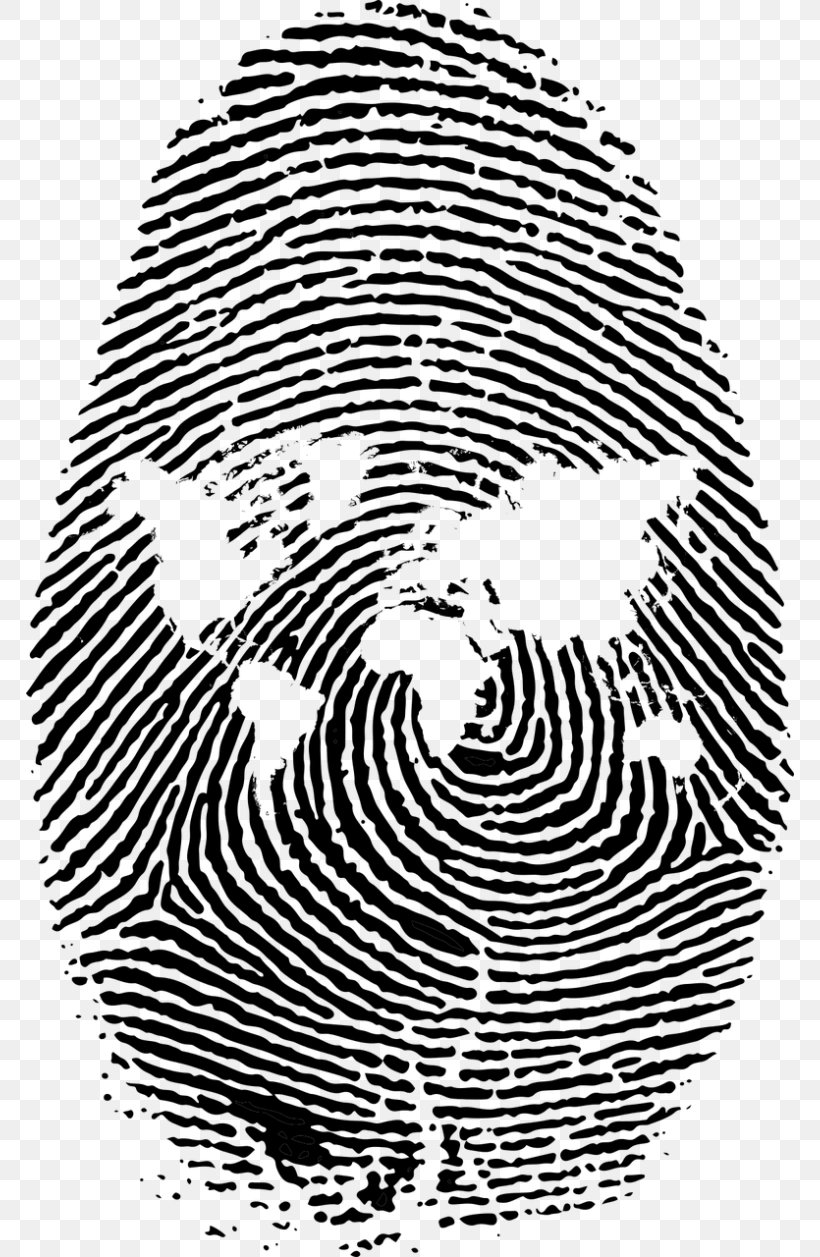 Fingerprint Thumb Clip Art, PNG, 768x1257px, Fingerprint, Automotive Tire, Black, Black And White, Finger Download Free
