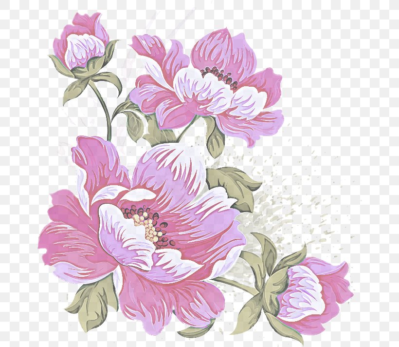 Flower Flowering Plant Petal Plant Pink, PNG, 668x712px, Flower, Cut Flowers, Flowering Plant, Peony, Petal Download Free