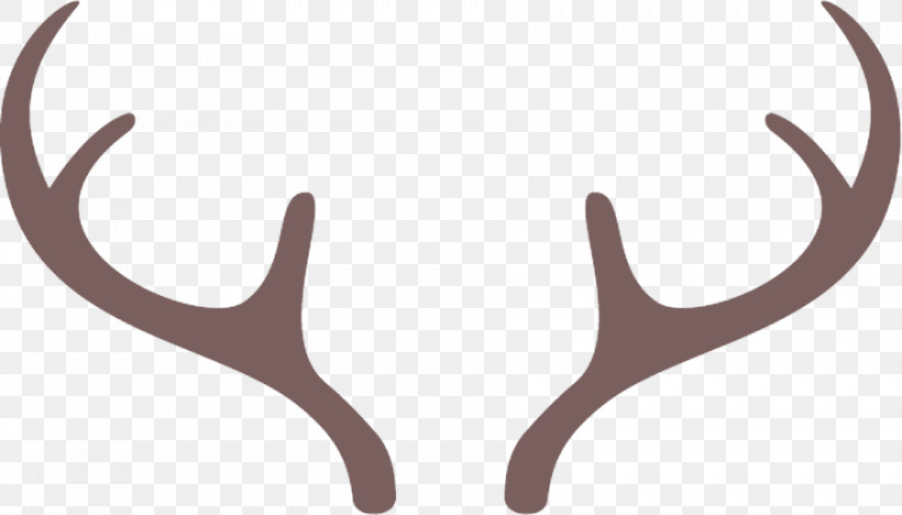 Horn Antler Natural Material, PNG, 902x515px, Horn, Antler, Natural Material Download Free