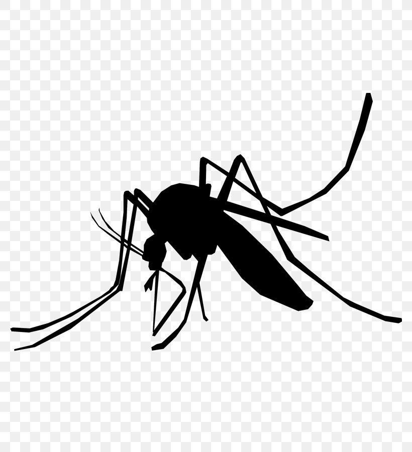Household Insect Repellents Mosquito Control Pest Control Zika Virus, PNG, 780x900px, Insect, Aedes, Arthropod, Black And White, Crane Fly Download Free