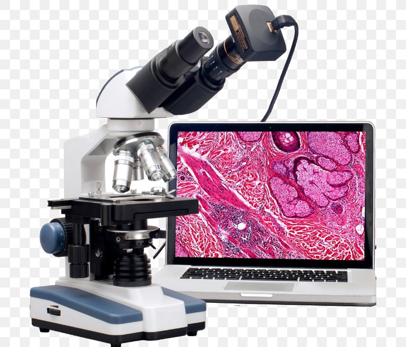 Microscope Small Appliance, PNG, 700x700px, Microscope, Camera, Camera Accessory, Optical Instrument, Scientific Instrument Download Free