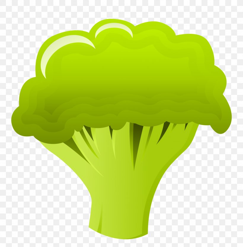Cauliflower Broccoli Vegetable, PNG, 1631x1657px, Cauliflower, Broccoli, Grass, Green, Leaf Download Free