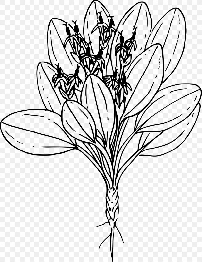 Cut Flowers Floral Design /m/02csf Everyday Life Clip Art, PNG, 988x1280px, Cut Flowers, Artwork, Black And White, Butterfly, Drawing Download Free