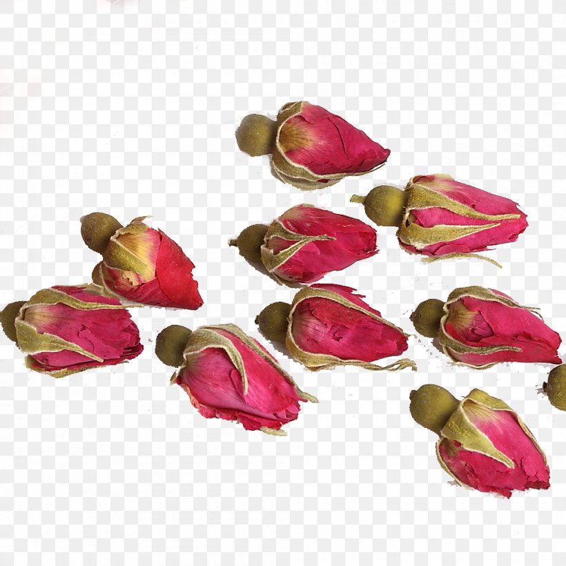 Flowering Tea Beach Rose Pingyin County Rosa Chinensis, PNG, 1000x1000px, Tea, Beach Rose, Flower, Flowering Tea, Herbal Tea Download Free