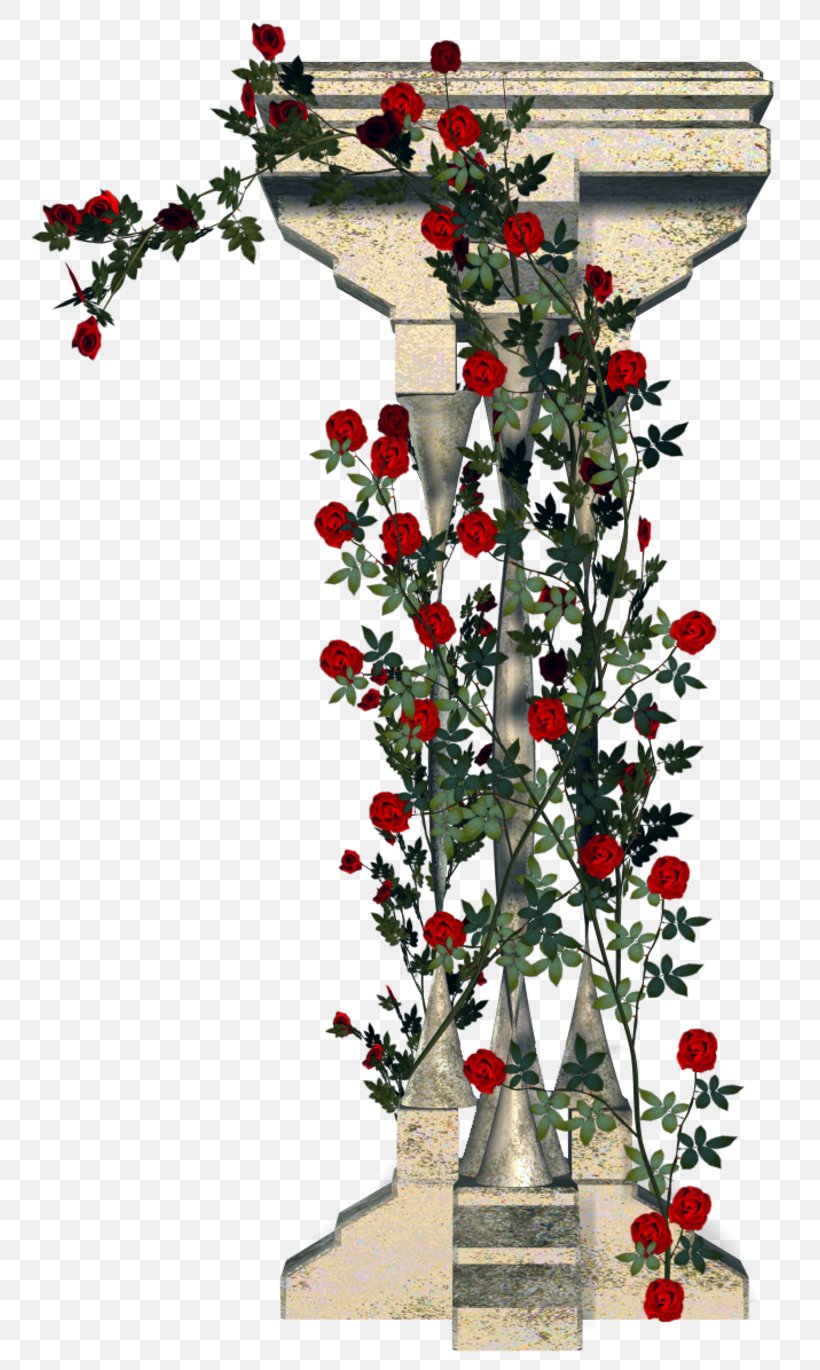 Garden Roses Column Flower Architecture, PNG, 800x1370px, Garden Roses, Aquifoliaceae, Aquifoliales, Architecture, Branch Download Free
