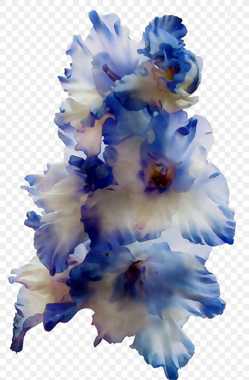 Gladiolus Cut Flowers, PNG, 1422x2168px, Gladiolus, Blue, Cut Flowers, Delphinium, Flower Download Free