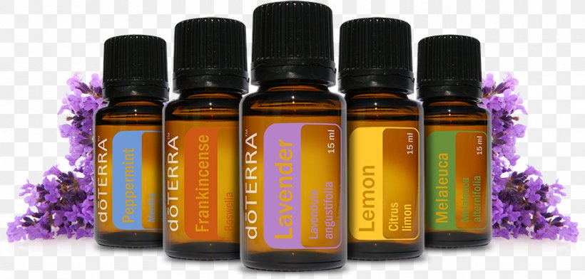 Essential Oil DoTerra Aromatherapy Perfume, PNG, 916x439px, Essential Oil, Aromatherapy, Bottle, Distillation, Doterra Download Free