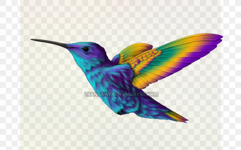Hummingbird Beak Violet Feather, PNG, 1131x707px, Bird, Beak, Closeup, Fauna, Feather Download Free