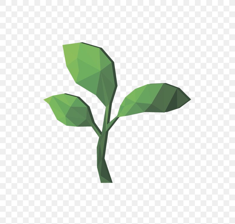 Leaf Plant Stem Tree, PNG, 800x783px, Leaf, Plant, Plant Stem, Tree Download Free