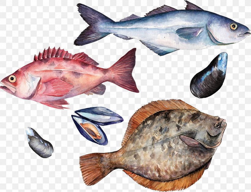 Fish School Seafood Education, PNG, 1194x915px, Fish, Animal Source Foods, Cafeteria, Culinary Arts, Education Download Free