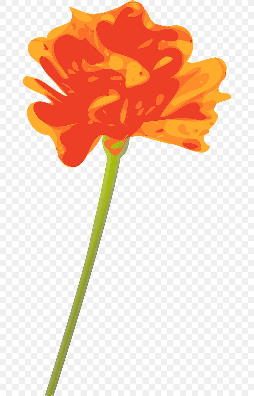 Flower Orange Clip Art, PNG, 674x1280px, Flower, Color, Cut Flowers, Flora, Flowering Plant Download Free