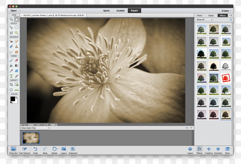 Adobe Photoshop Elements Image Editing Adobe Lightroom Png 15x1080px Adobe Photoshop Elements Adobe Lightroom Adobe Premiere