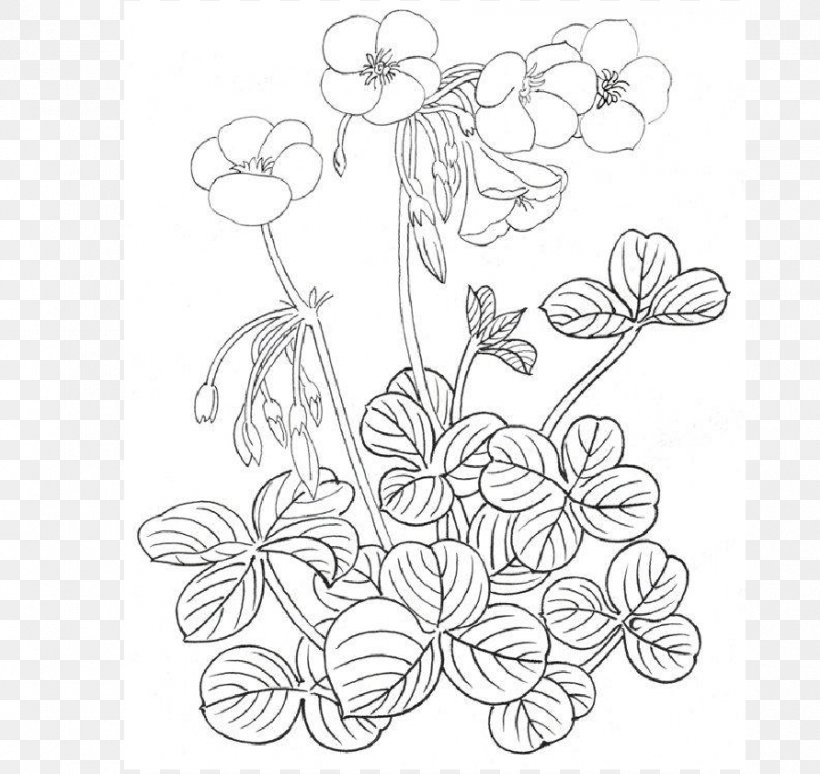 Floral Design Drawing Art /m/02csf, PNG, 892x842px, Floral Design, Area, Art, Artwork, Black And White Download Free