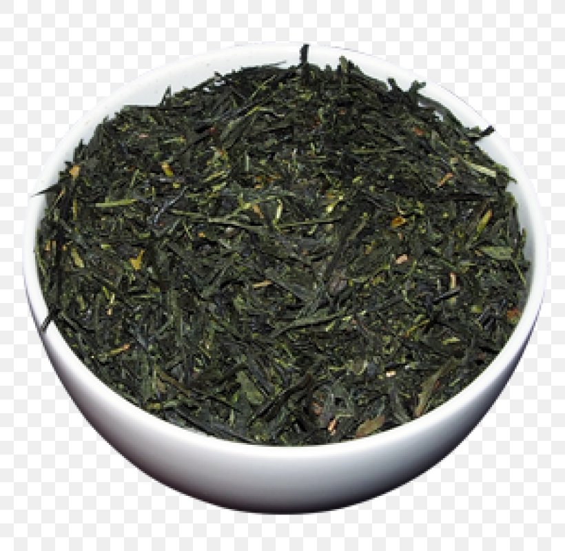 Gyokuro Tea Plant Nilgiri Tea Oolong, PNG, 800x800px, Gyokuro, Assam Tea, Bai Mudan, Bancha, Biluochun Download Free