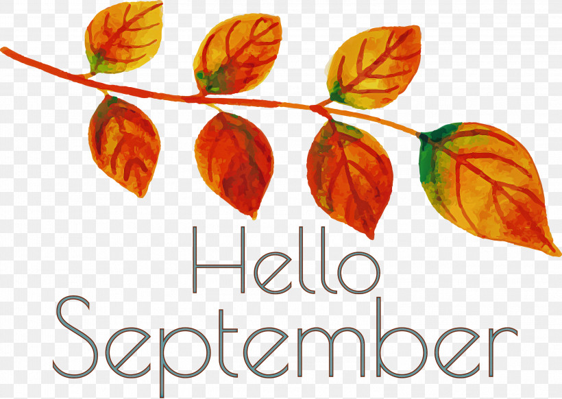 Hello September September, PNG, 2999x2131px, Hello September, Biology, Fruit, Leaf, Meter Download Free