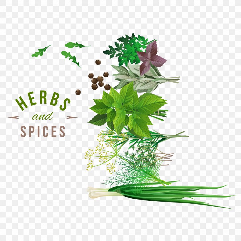 Herb Spice Vegetable, PNG, 2083x2083px, Herb, Filxe9 Powder, Flora, Floral Design, Flower Download Free